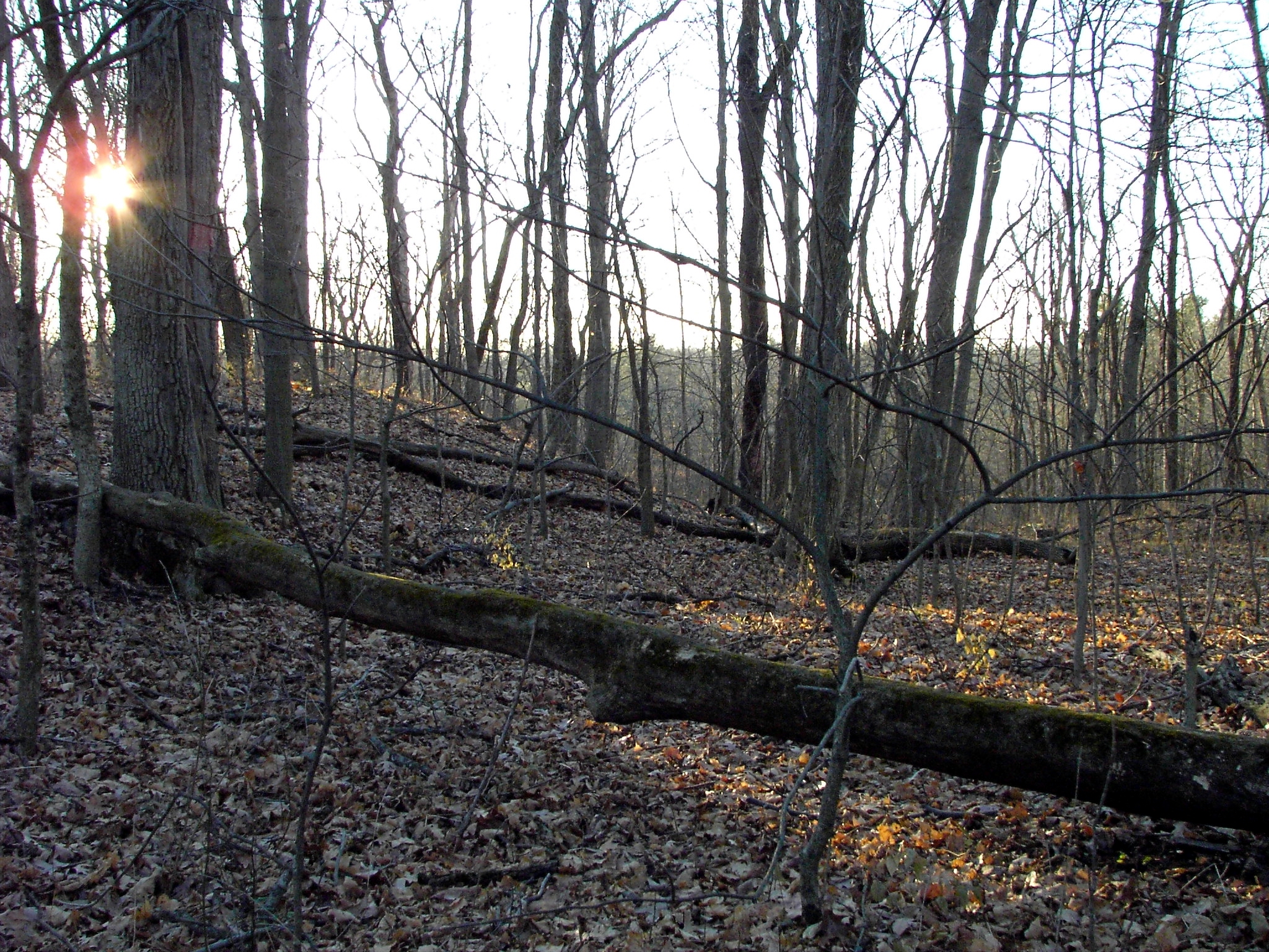 Foster's Works, 33-WA-5, Warren County, Ohio.