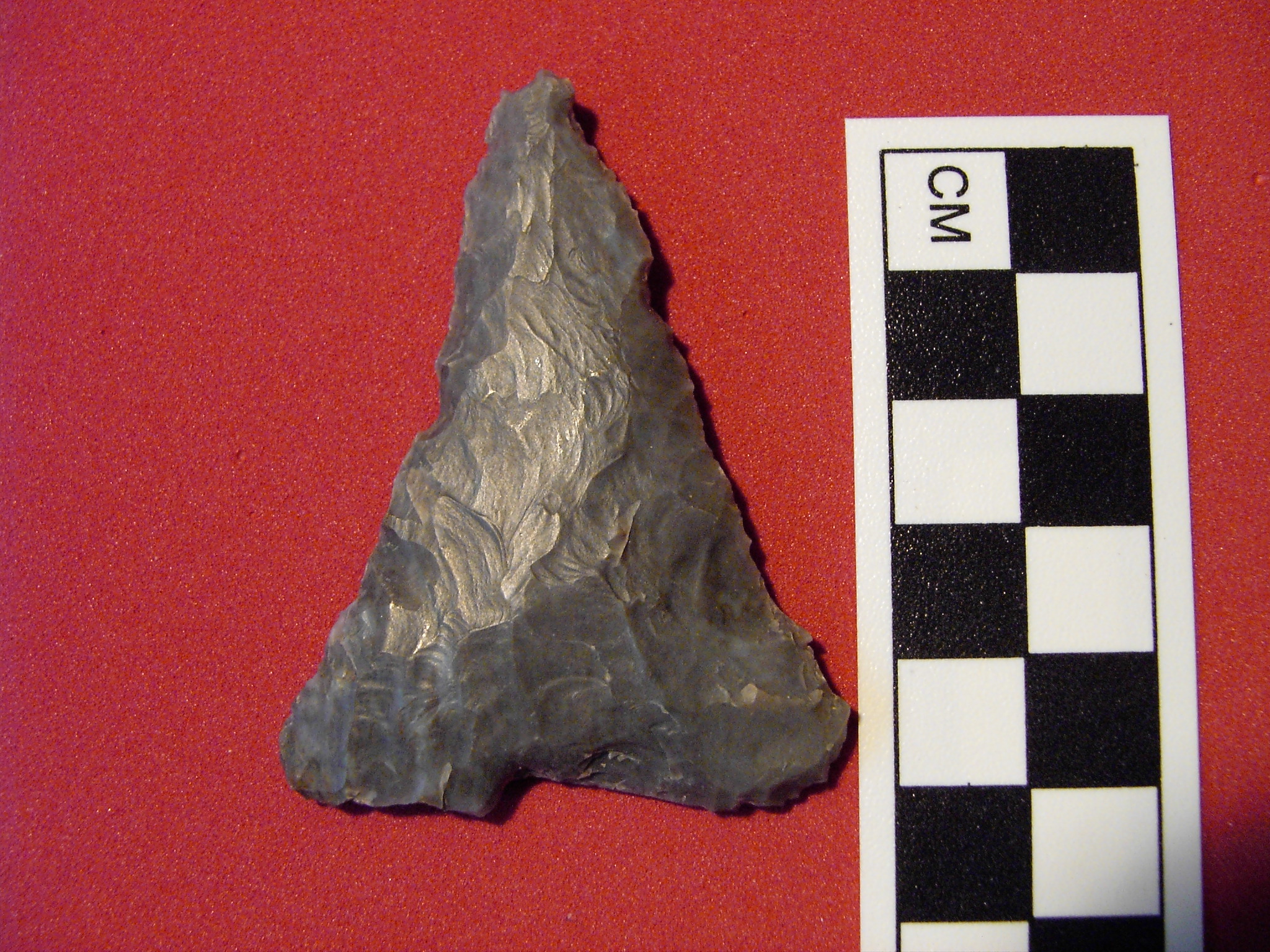 Levanna projectile point from 33-DL-1545, Delaware Co., Ohio.